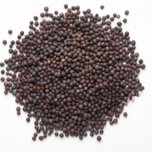 Moutarde Noire en Grains